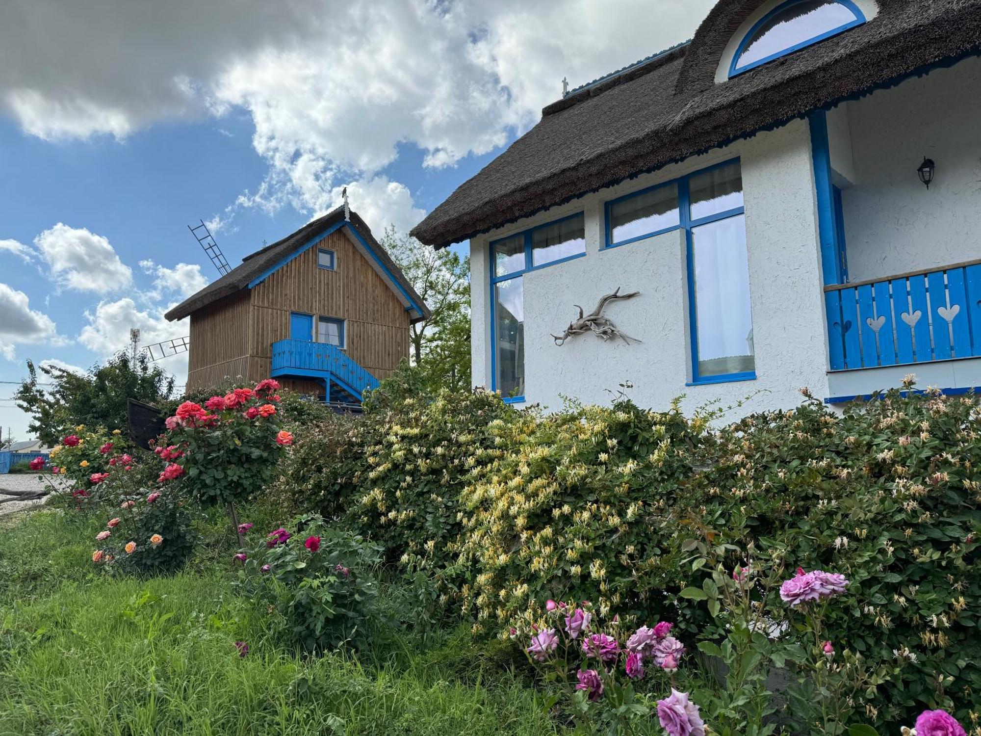 Nena Art Resort Dunavăţu de Jos Exteriör bild