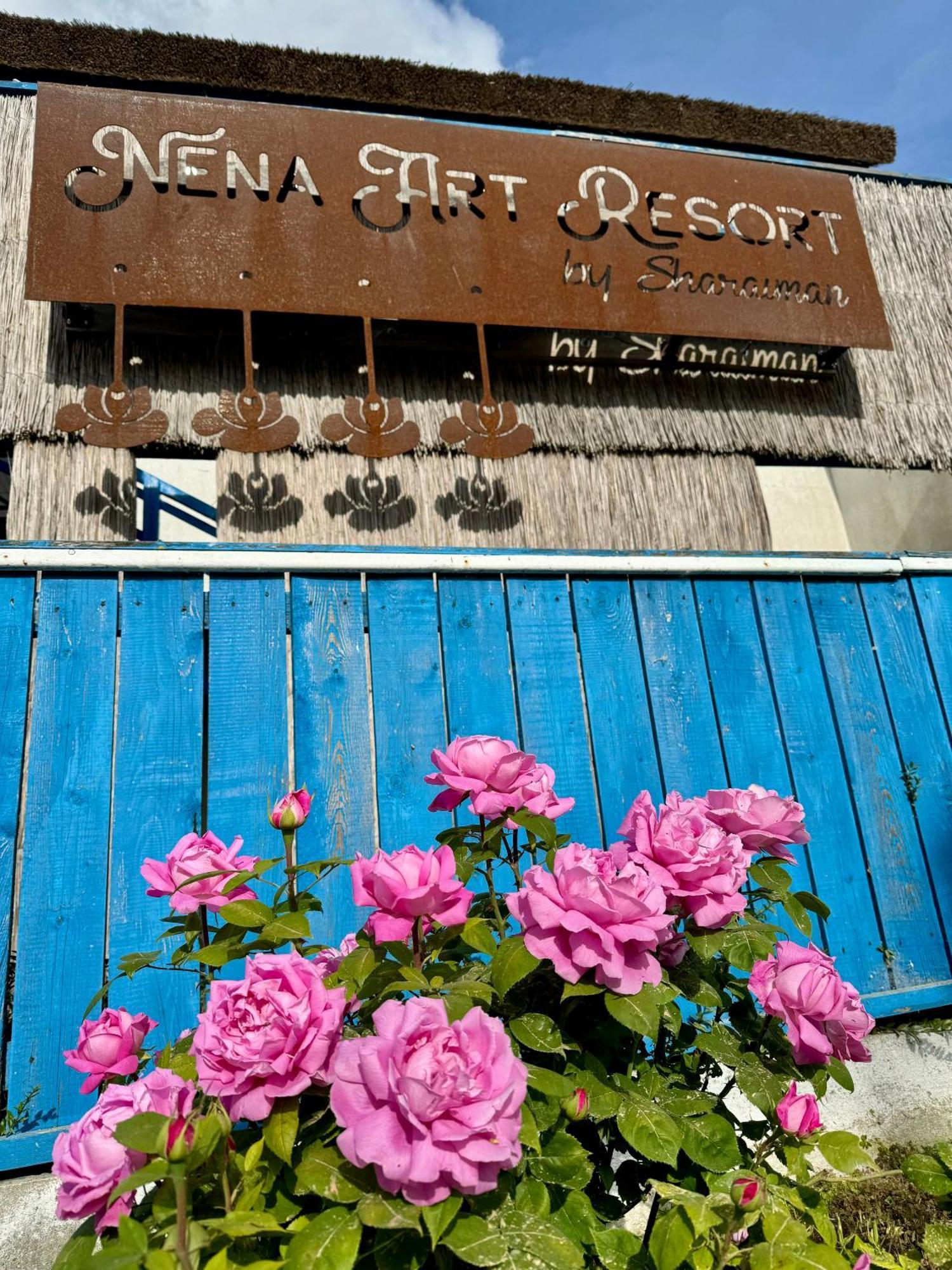 Nena Art Resort Dunavăţu de Jos Exteriör bild