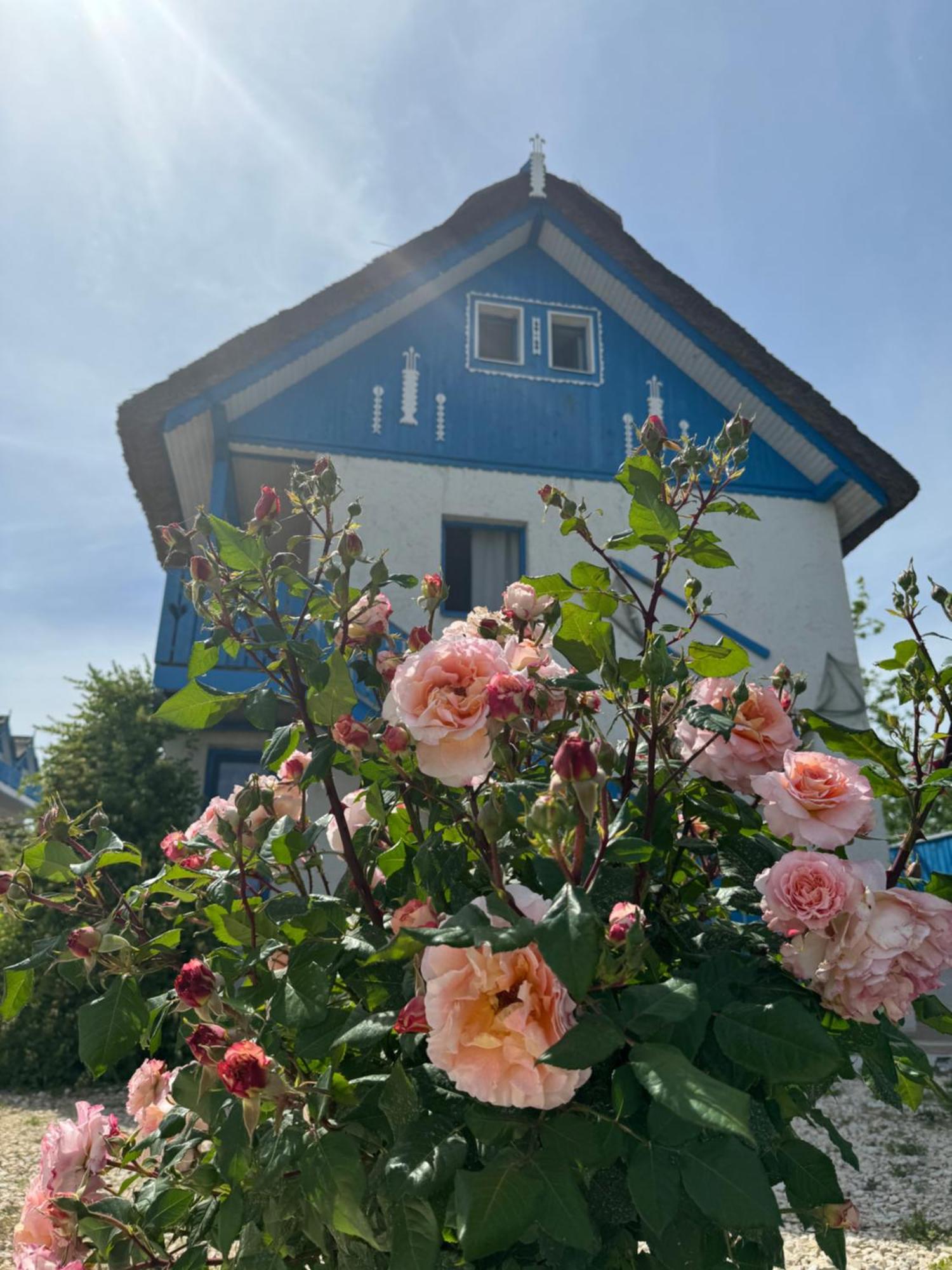 Nena Art Resort Dunavăţu de Jos Exteriör bild
