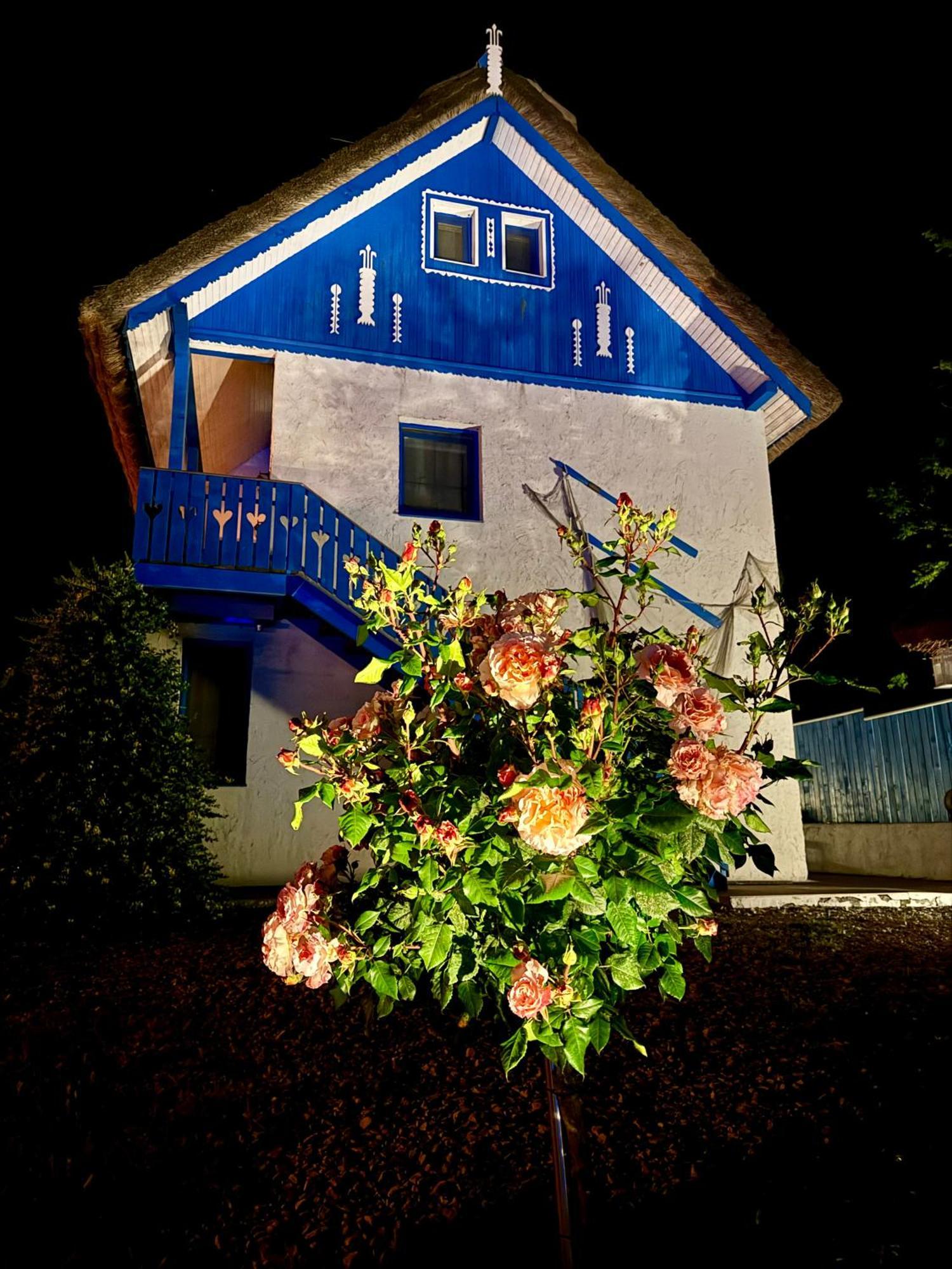 Nena Art Resort Dunavăţu de Jos Exteriör bild