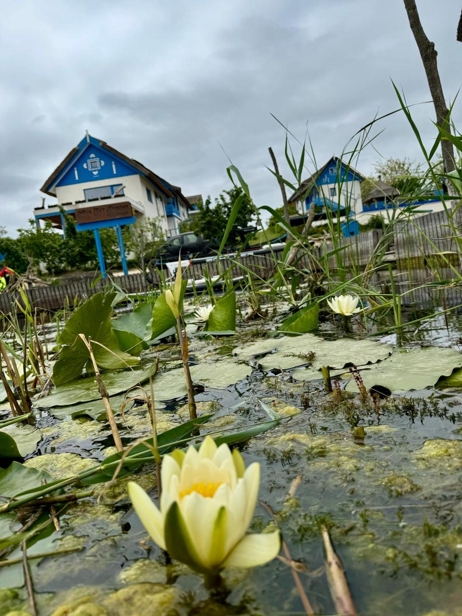 Nena Art Resort Dunavăţu de Jos Exteriör bild